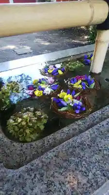 自由が丘熊野神社の手水舎