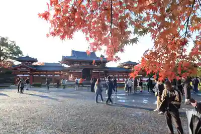 平等院のその他建物