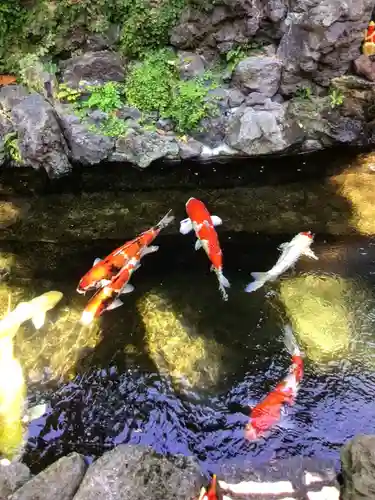吉原弁財天本宮（吉原神社奥宮）(東京都)