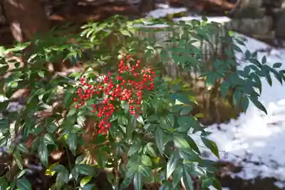 鹿島大神宮の手水舎