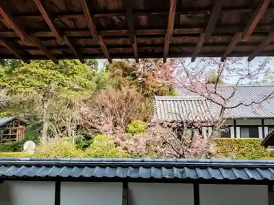 雲龍院(京都府)