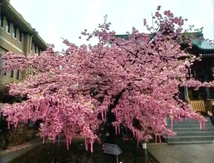 桜神宮(東京都)