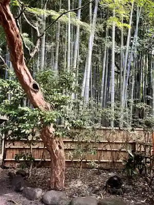 多摩清水社(東京都)
