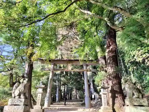 質美八幡宮(京都府)