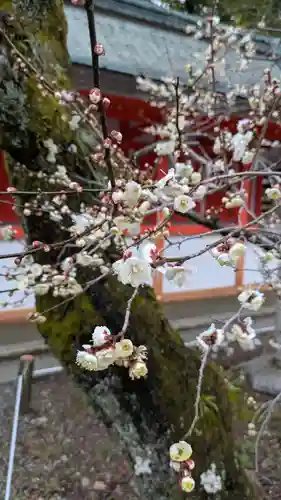 北野天満宮(京都府)