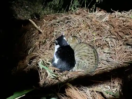 伏見稲荷大社(京都府)