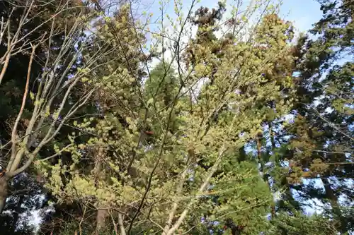 豊景神社の自然