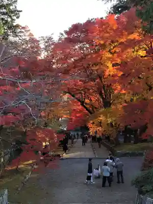 毘沙門堂門跡(京都府)