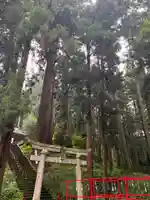 大宮温泉神社(栃木県)