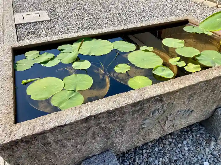 善光寺東海別院(祖父江善光寺)の手水舎