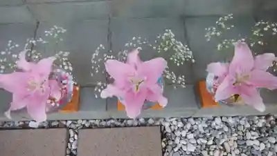 伊達神社のその他建物