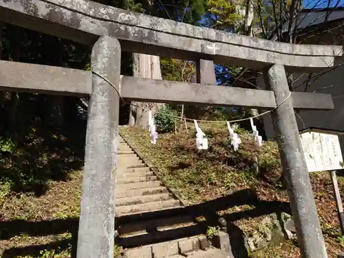 戸隠神社火之御子社の鳥居