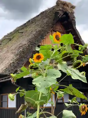 秋葉神社の自然