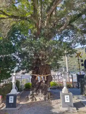 陶山神社(佐賀県)