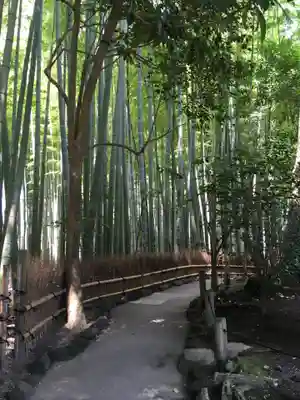 報国寺(神奈川県)