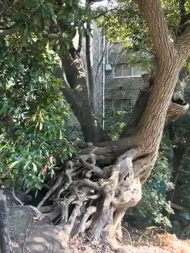 品川神社(東京都)