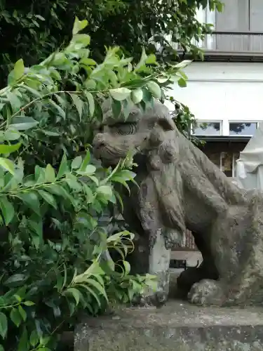 菖蒲神社の狛犬