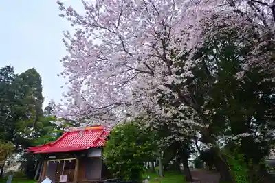 冨知神社(静岡県)