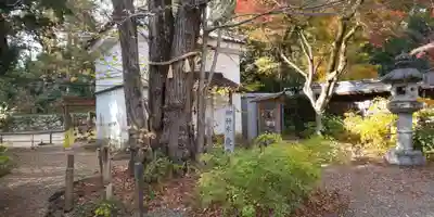 梨木神社(京都府)