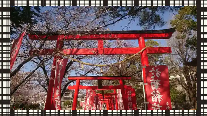 於菊稲荷神社(群馬県)