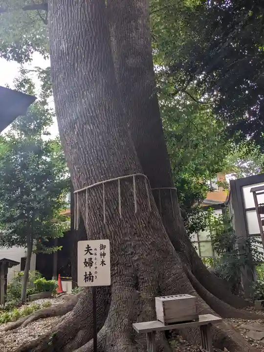 鳩ヶ谷氷川神社(埼玉県)
