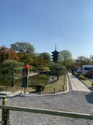 東寺（教王護国寺）(京都府)