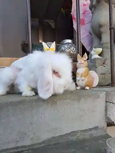 快神社(徳島県)