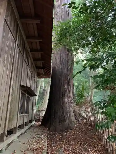 御霊神社の自然