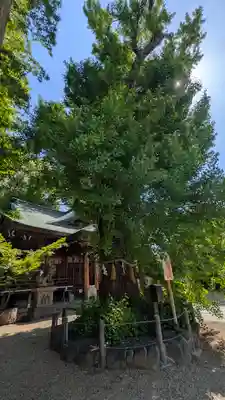 白山神社(大阪府)