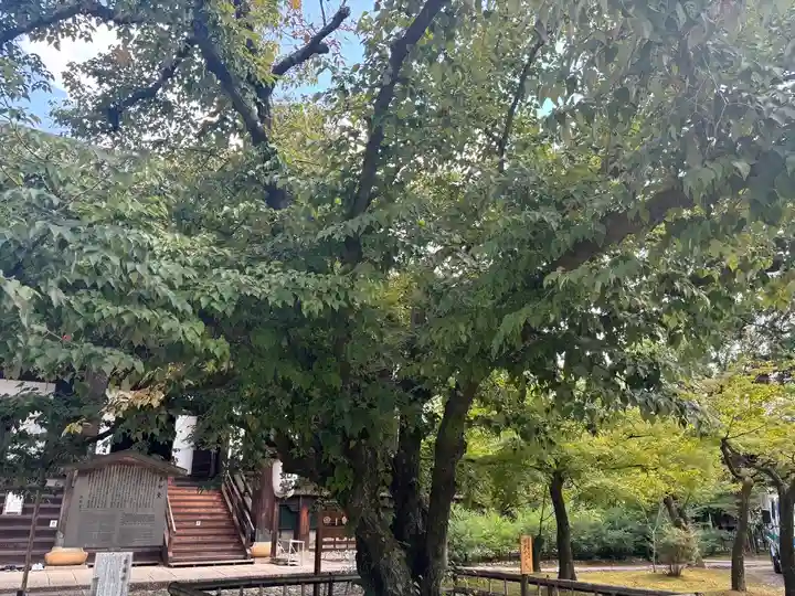 真正極楽寺(真如堂)の自然