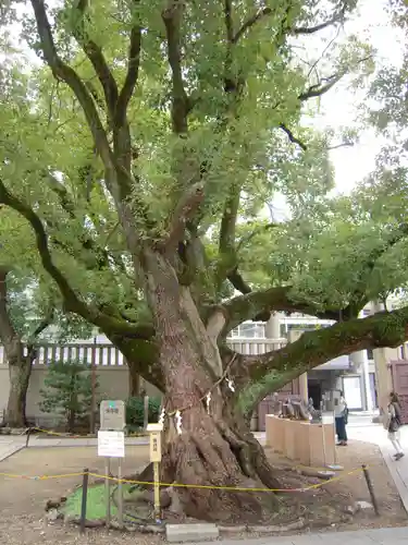 難波神社の自然