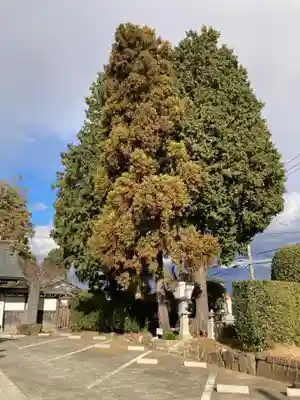 金剛頂寺(神奈川県)