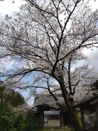 来迎寺(新潟県)