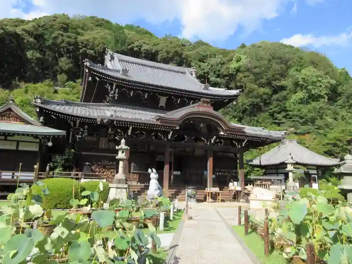 三室戸寺の本殿・本堂