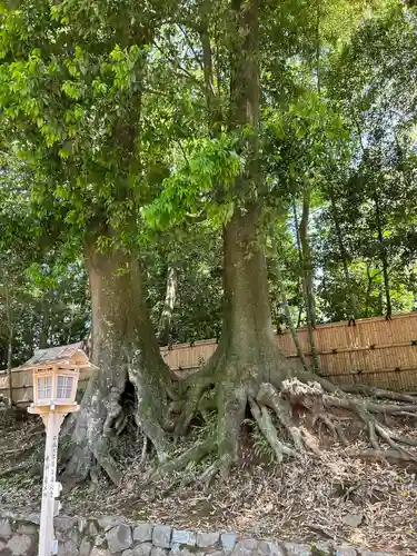 常陸國總社宮(茨城県)