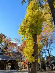 小野神社(東京都)