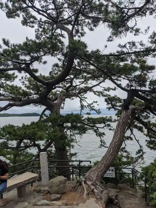 八百富神社の自然