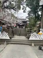 福島八幡宮の{uncategorized: "未分類", other: "その他", undefined: "問題あり", building: "その他建物", grave: "お墓", sacred_gate: "鳥居", guardian: "狛犬", statue: "像", buddha: "仏像", history: "歴史", nature: "自然", garden: "庭園", animal: "動物", pagoda: "塔", temizu: "手水舎", mountain_gate: "山門・神門", sanctuary: "本殿・本堂", subordinate: "末社・摂社", art: "芸術", scenery: "景色", jizo: "地蔵", ema: "絵馬", goshuin: "御朱印", omikuji: "おみくじ", items: "授与品その他", amulet: "お守り", goshuincho: "御朱印帳", eats: "食事", festival: "お祭り", votive_dance: "神楽", shichigosan: "七五三参", wedding: "結婚式", experience: "体験その他", initially: "初詣", around: "周辺", anti_infection: "感染症対策"}
