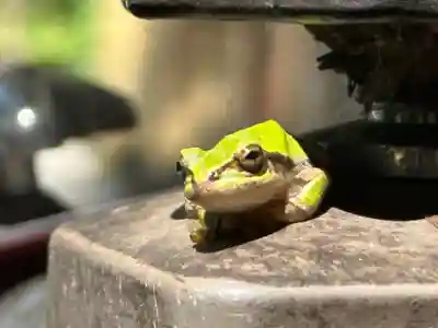 須山浅間神社(静岡県)