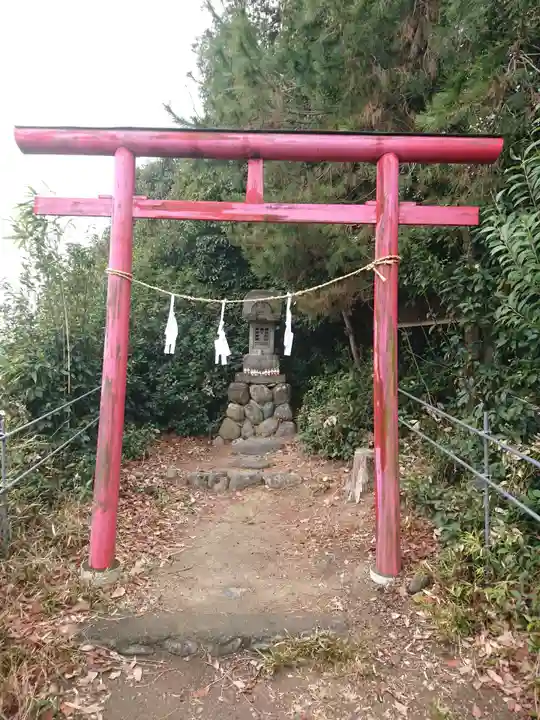 埼玉厄除け開運大師・龍泉寺(切り絵御朱印発祥の寺)の鳥居