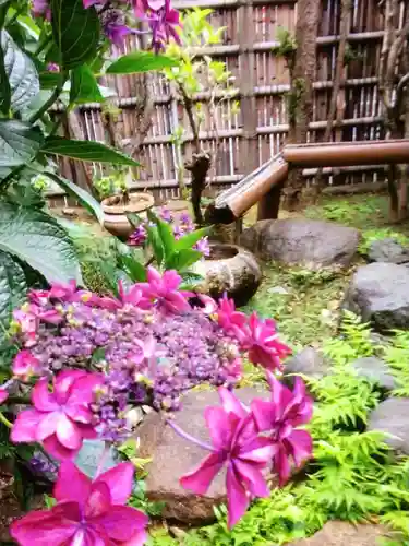 宝祥寺(東京都)