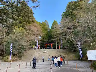 霧島神宮(鹿児島県)