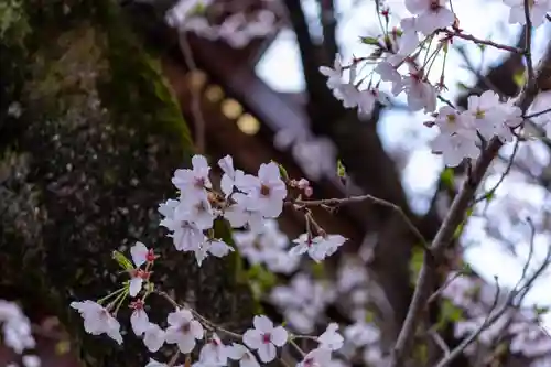 小垣江神明神社(愛知県)