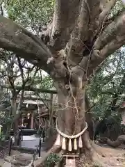 八大龍王水神の庭園