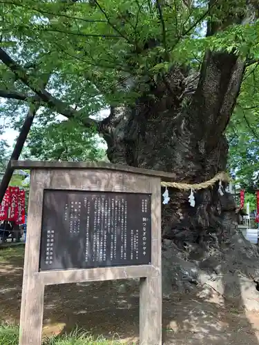 秩父今宮神社の歴史