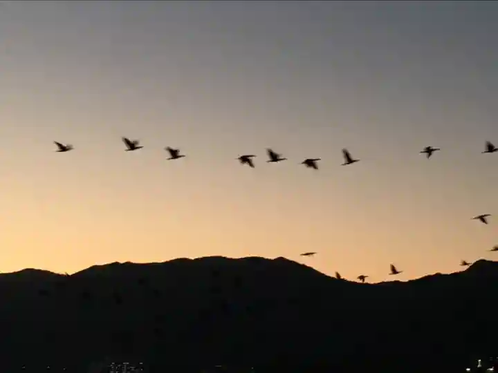厳島神社(広島県)