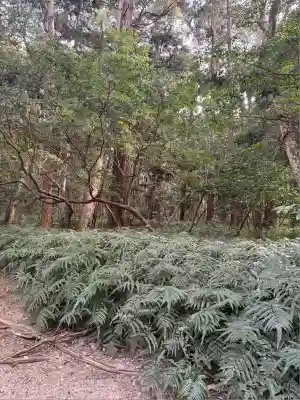 鹿島神宮(茨城県)