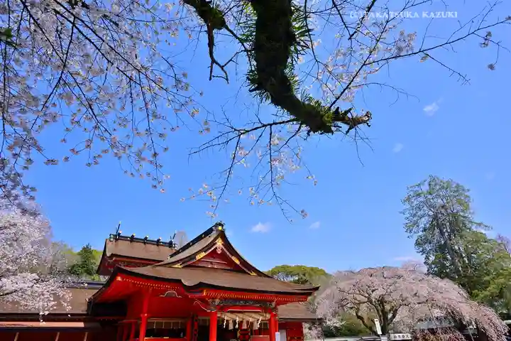 富士山本宮浅間大社(静岡県)