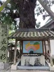 極楽寺の手水