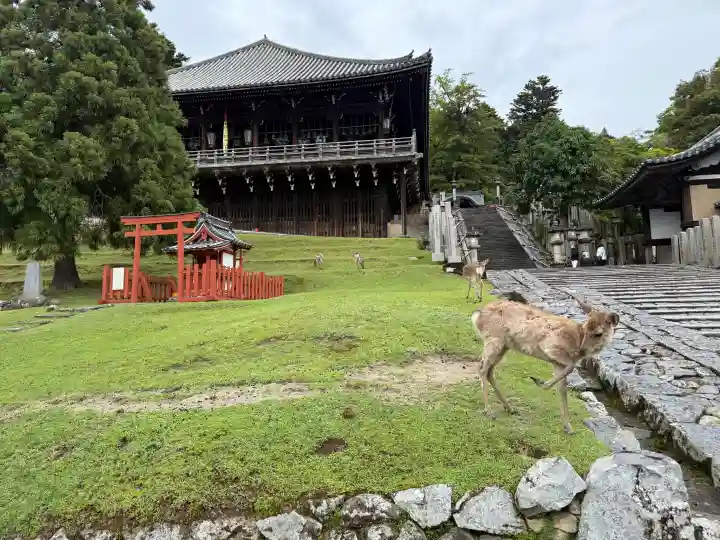 東大寺 二月堂の{uncategorized: "未分類", other: "その他", undefined: "問題あり", building: "その他建物", grave: "お墓", sacred_gate: "鳥居", guardian: "狛犬", statue: "像", buddha: "仏像", history: "歴史", nature: "自然", garden: "庭園", animal: "動物", pagoda: "塔", temizu: "手水舎", mountain_gate: "山門・神門", sanctuary: "本殿・本堂", subordinate: "末社・摂社", art: "芸術", scenery: "景色", jizo: "地蔵", ema: "絵馬", goshuin: "御朱印", omikuji: "おみくじ", items: "授与品その他", amulet: "お守り", goshuincho: "御朱印帳", eats: "食事", festival: "お祭り", votive_dance: "神楽", shichigosan: "七五三参", wedding: "結婚式", experience: "体験その他", initially: "初詣", around: "周辺", anti_infection: "感染症対策"}
